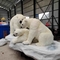 Realistische Animatronic Levensgrote ijsbeer Aangepast Beschikbaar 12 maanden garantie